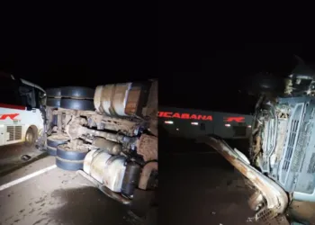 Batida entre ônibus e caminhão com gado deixa feridos e interdita BR-262