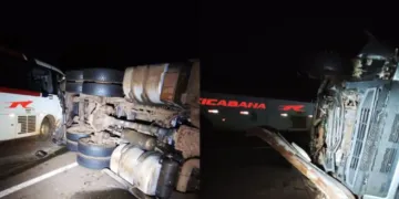 Batida entre ônibus e caminhão com gado deixa feridos e interdita BR-262