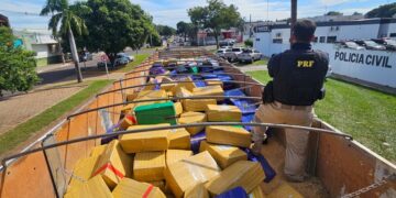 Caminhão é flagrado com mais de 8,3 toneladas de maconha na BR-163