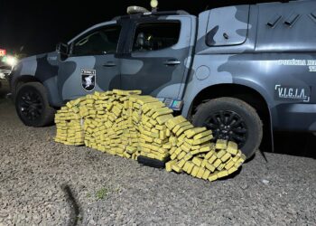 Denúncia leva à apreensão de mais de 270 kg de maconha e prisão de suspeitos na Capital