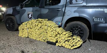 Denúncia leva à apreensão de mais de 270 kg de maconha e prisão de suspeitos na Capital