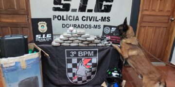 Tráfico disfarçado de entrega: esquema é descoberto em transportadora