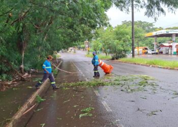 Alerta laranja coloca Campo Grande e MS em risco de tempestades até domingo