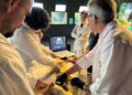 Parceria garante exames e reforça cuidado com animais no Bioparque Pantanal Parceria garante exames e reforça cuidado com animais no Bioparque Pantanal
