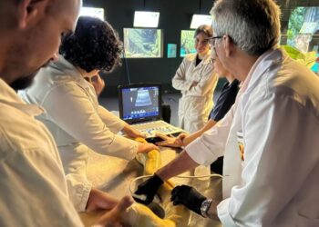 Parceria garante exames e reforça cuidado com animais no Bioparque Pantanal Parceria garante exames e reforça cuidado com animais no Bioparque Pantanal