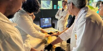 Parceria garante exames e reforça cuidado com animais no Bioparque Pantanal