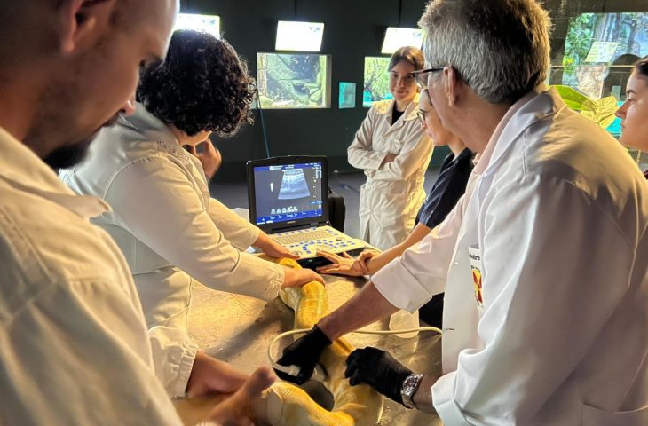Parceria garante exames e reforça cuidado com animais no Bioparque Pantanal