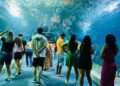 Bioparque Pantanal recebe congresso nacional que debate futuro da conservação da fauna