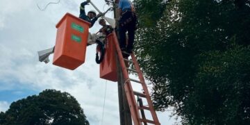 Agetec reforça conectividade em Rochedinho para evento