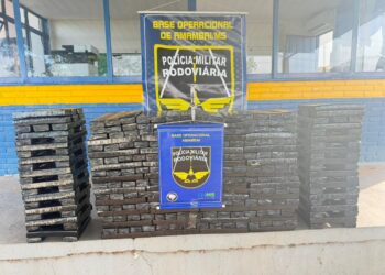 Apreensão de 330 kg de maconha em MS causa prejuízo de R$ 700 mil ao tráfico