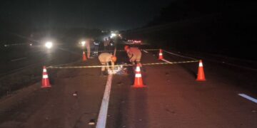 Ciclista de 64 anos morre atropelado na MS-379