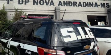 Mãe é presa suspeita de agredir bebê de 7 meses e causar lesões graves