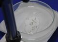Chikungunya avança em MS e já soma mais de 11 mil casos em 2026