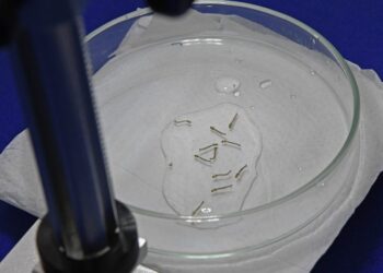 Chikungunya avança em MS e já soma mais de 11 mil casos em 2026