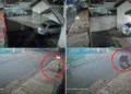 Morador denuncia vandalismo após portão ser derrubado por jovens Morador denuncia vandalismo após portão ser derrubado por jovens