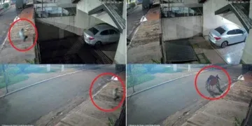 Morador denuncia vandalismo após portão ser derrubado por jovens