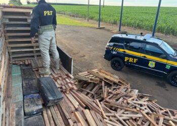 Carreta com droga escondida em pallets é interceptada Carreta com droga escondida em pallets é interceptada