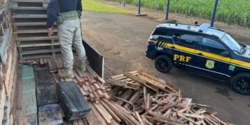 Carreta com droga escondida em pallets é interceptada