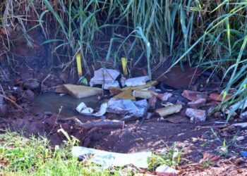 MS ultrapassa 12,8 mil casos de chikungunya e confirma 21 mortes em 2026