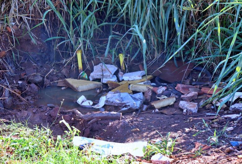 MS ultrapassa 12,8 mil casos de chikungunya e confirma 21 mortes em 2026