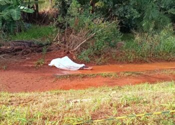Mesmo com políticas públicas para acolhimento, MS tem mortes por frio