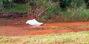 Mesmo com políticas públicas para acolhimento, MS tem mortes por frio