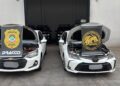 Dupla é presa com carro furtado em rota usada por criminosos na BR-060