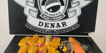 “Falso frete”: galões usados para esconder skunk são apreendidos