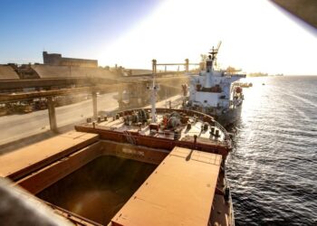 Exportações crescem e MS amplia superávit no início de 2026 Exportações crescem e MS amplia superávit no início de 2026