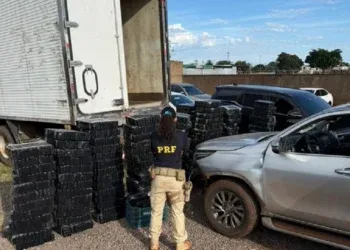 Motorista foge e abandona caminhonete com mais de 1,5 tonelada de maconha