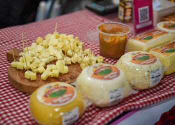 Com dois dias de atrações, Festa do Queijo começa na sexta-feira