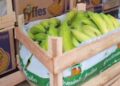 Funcionário é preso em flagrante por desviar frutas em Campo Grande