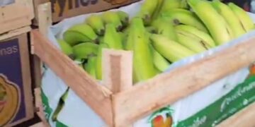 Funcionário é preso em flagrante por desviar frutas em Campo Grande