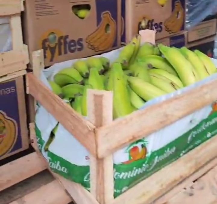 Funcionário é preso em flagrante por desviar frutas em Campo Grande
