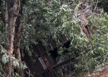 Carreta com gado cai em ribanceira e deixa motorista em estado grave