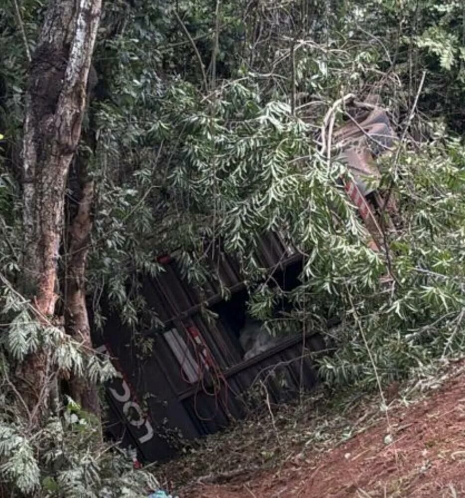 Carreta com gado cai em ribanceira e deixa motorista em estado grave