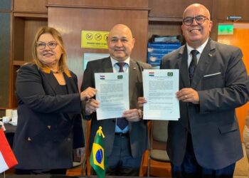 Brasil e Paraguai alinham ações de saúde para reforçar vigilância em áreas de fronteira Brasil e Paraguai alinham ações de saúde para reforçar vigilância em áreas de fronteira