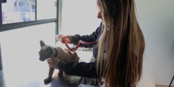 Subea leva consultório móvel esta semana ao bairro Caiçara e Anahy