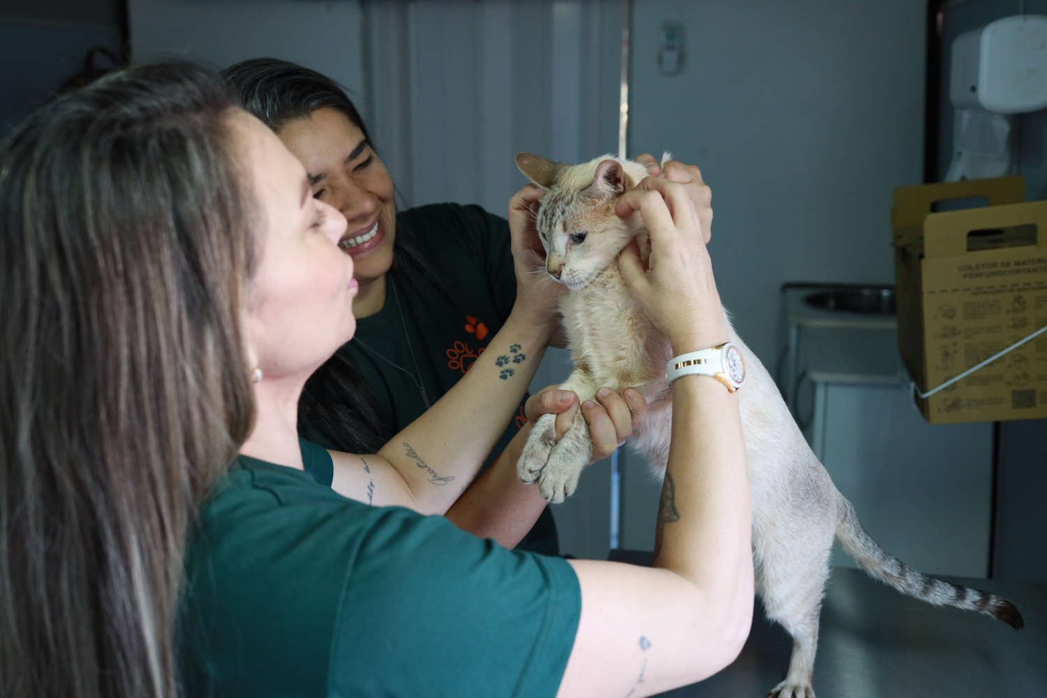 Subea reforça alerta sobre vacina anti-cio em pets