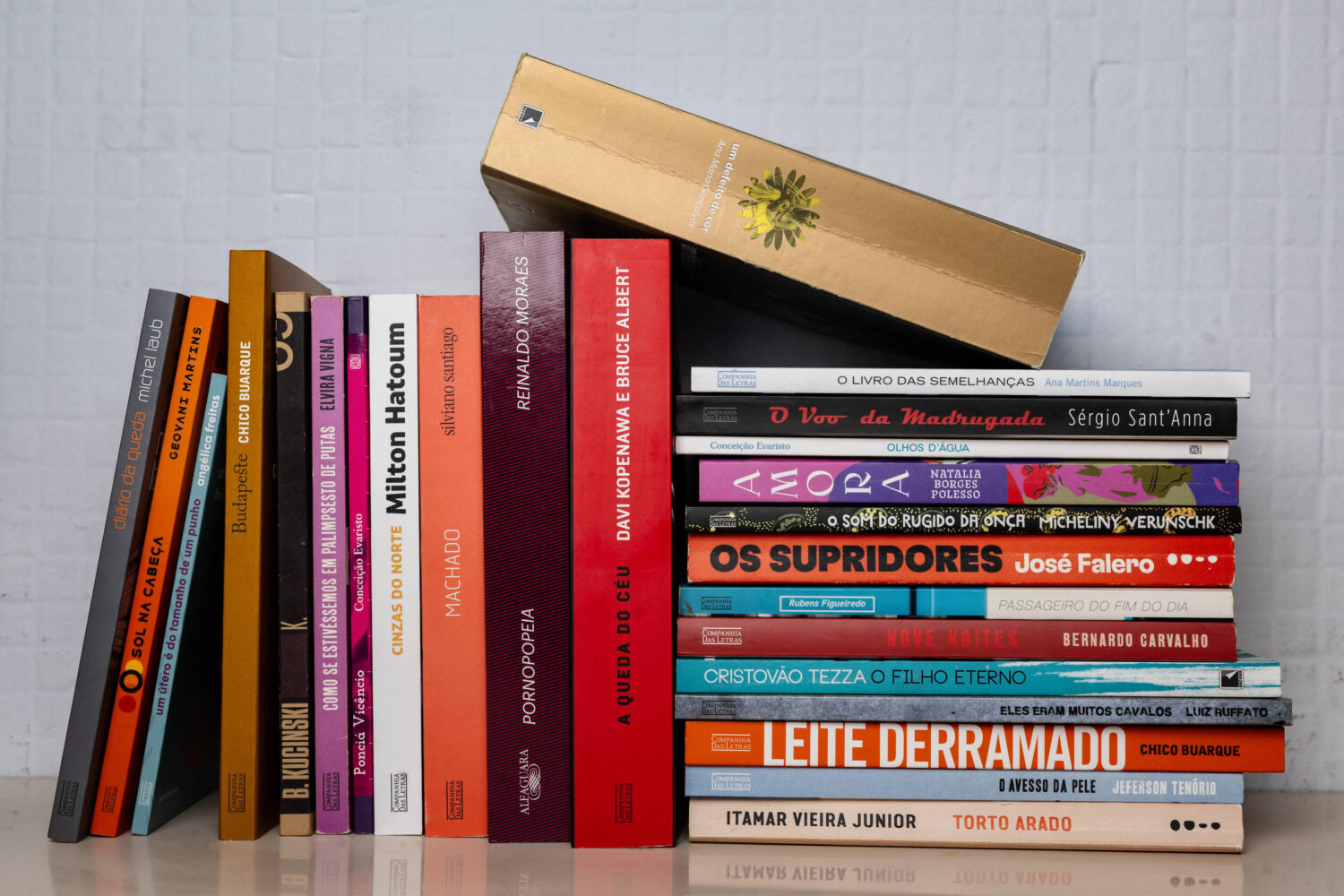 FLIB 2026 promove campanha de doação de livros e reforça acesso à leitura em MS