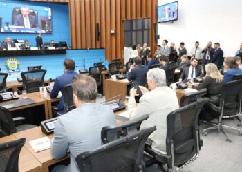 Assembleia Legislativa vota criação da Procuradoria Especial da Mulher na sessão desta quinta-feira Assembleia Legislativa vota criação da Procuradoria Especial da Mulher na sessão desta quinta-feira