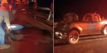 Seis vacas morrem após serem atingidas por caminhonete na BR-163