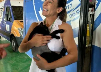 Caravana da Castração percorre MS e novas propostas reforçam proteção animal no Senado Caravana da Castração percorre MS e novas propostas reforçam proteção animal no Senado