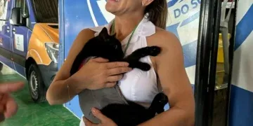Caravana da Castração percorre MS e novas propostas reforçam proteção animal no Senado