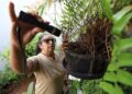 Combate à dengue depende de cuidados simples no dia a dia Combate à dengue depende de cuidados simples no dia a dia