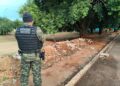 Descarte irregular pode gerar multa de até R$ 5 mil e até investigação criminal