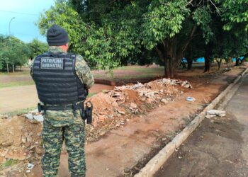 Descarte irregular pode gerar multa de até R$ 5 mil e até investigação criminal