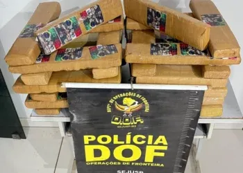 Passageira é presa com 27 kg de maconha em carro abordado pelo DOF na MS-162