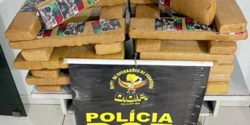 Passageira é presa com 27 kg de maconha em carro abordado pelo DOF na MS-162