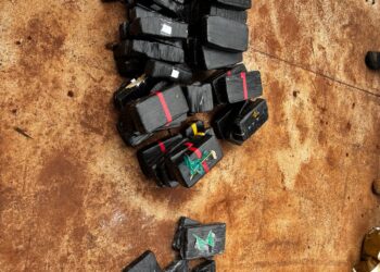 Quase 20 toneladas de drogas são destruídas em ação na fronteira de MS